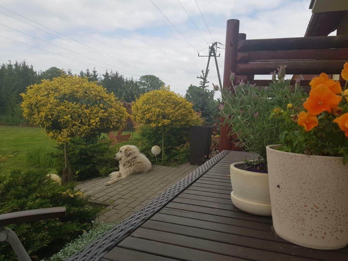 Domki I Pokoje Goscinne A A Malinowscy Stegna  Kültér fotó